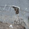 Download track Auspex