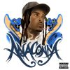 Download track Countin Paper