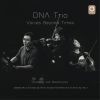Download track Symphony No. 2 In D Major, Op. 36: III. Scherzo. Allegro (Arr. For Piano Trio)