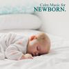 Download track Sleep Relaxation