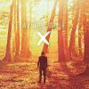 Download track Bloß Weg (Intro)