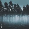 Download track From The Woods