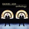 Download track That's What She Said (Radio Edit)