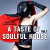 Download track You're Not Alone - Mike Misar Softbeat Mix
