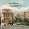 Download track String Quartet No. 4 In D Major, Op. 211: IV. Finale. Allegro Giocoso
