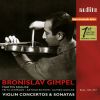 Download track Duo Sonata In A Major, Op. 162, D. 574: Duo Sonata In A Major, Op. 162, D. 574: III. Andantino