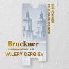 Download track Bruckner: Symphony No. 9 In D Minor, WAB 109: III. Adagio. Langsam, Feierlich (Live)
