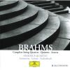 Download track String Quartet No. 2 In A Minor, Op. 51 - 2. Andante Moderato