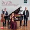 Download track Piano Trio No. 2 In G Minor Op. 26 (B56), Allegro Non Tanto