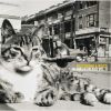 Download track Stetson Kennedy