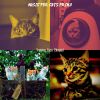 Download track Simple (Music)