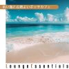 Download track Peaceful Harbor Moments
