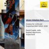 Download track Violin Sonata No. 1 In B Minor, BWV 1014: IV. Allegro