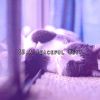 Download track Sleep Party