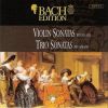 Download track Trio Sonata In C Major BWV 1039 - II Allegro Ma Non Presto