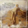 Download track Symphony No. 1 E-Flat Major, Op. 26 Ländliche Hochzeit II. Brautlied Intermezzo
