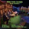 Download track Ey Sevdiğim Sana Şikayetim Var