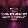 Download track What Christmas Was Meant To Be (Special Jazz Version)