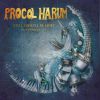 Download track Typewriter Torment / Album 'Procol's Ninth'