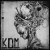 Download track In Disarray