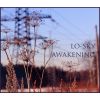 Download track Awakening