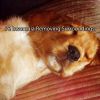 Download track Pure Lullaby