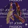 Download track 17. St John Passion, BWV 245 Ach, Großer König, Groß Zu Allen Zeiten