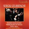Download track 07. Ravel - Boléro
