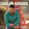 Download track İlvanlım (Canlı Performans)