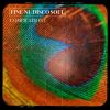 Download track Free Birds Fly Highest (Original Mix)