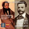 Download track Violin Sonata In D Major, Op. 137 No. 1, D. 384 II. Andante