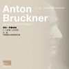 Download track Symphony No. 2 In C Minor, WAB 102: I. Moderato
