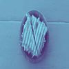 Download track Fun Ambience For Italian Restaurants