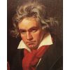 Download track Symphony No. 2 Op. 36 In D Major / Allegro Molto