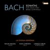 Download track Harpsichord Sonata In D Minor, BWV 964: IV. Allegro