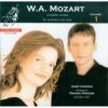 Download track Sonata In D KV 306 I Allegro Con Spirito