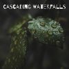 Download track Moments Of Tranquility