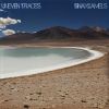 Download track Acid Desert