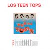 Download track El Blues De La Mujer Cruel (Mean Woman Blues)