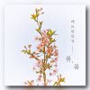 Download track Spring Has Sprung