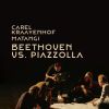 Download track 10 - String Quartet No. 13, Op. 130 - V. Cavatina