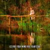 Download track Conclude Your Resolution