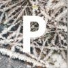 Download track Ten Pieces Op. 24 - 10. Barcarola