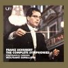 Download track Symphony No. 1 In D Major, D. 82: IV. Allegro Vivace