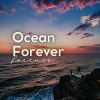 Download track Ocean Defender, Pt. 17