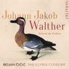 Download track Scherzi Da Violino Solo, No. 3 Sonata In D Major VI. [Allegro II]