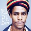 Download track No Segregation
