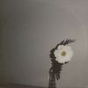 Download track Spring