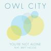 Download track You're Not Alone