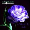 Download track Keep Looking